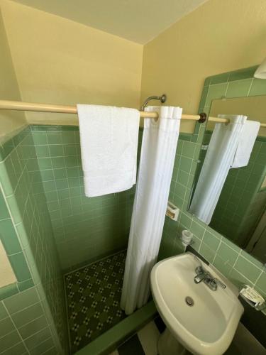 a green bathroom with a sink and a shower at Budget Inn Ocala in Ocala