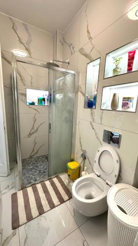 a bathroom with a shower and a toilet in it at Thind house in Brescia