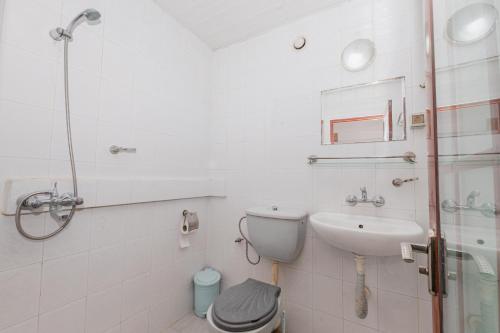 a bathroom with a sink and a toilet and a shower at Rhodopi Hotel Plovdiv in Plovdiv