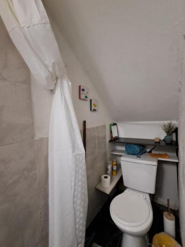 a bathroom with a toilet and a shower curtain at La Esquina in Esquel