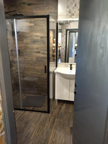 a bathroom with a shower and a sink at Apartments Maja i Mate in Sućuraj