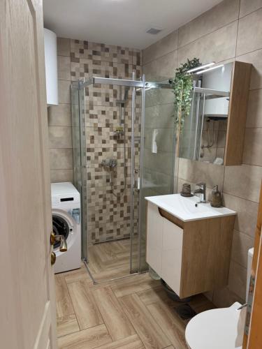 a bathroom with a shower and a sink and a washing machine at Kuća Tajna Banja Vrujci in Mionica