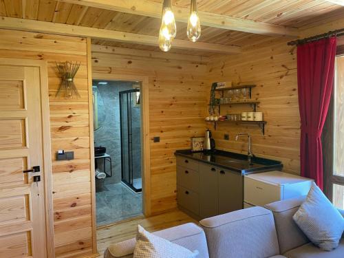 a kitchen with a couch and a sink in a cabin at Derya Dağ Evleri in Çamlıhemşin