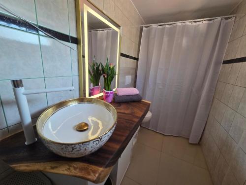 4 bedroom apartment SMILJANA 3 RIJEKA