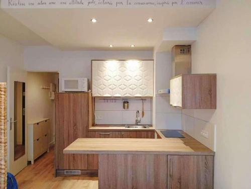 studio centre paris 15e near montparnasse