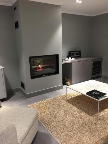 a living room with a couch and a fireplace at Le Domaine des Loups in Souchez