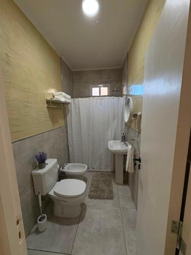 a bathroom with a toilet and a sink at Punto San Martin in Venado Tuerto