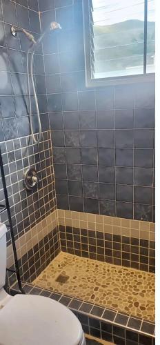 a bathroom with a shower and a toilet at Sailor's Gem in Tortola Island