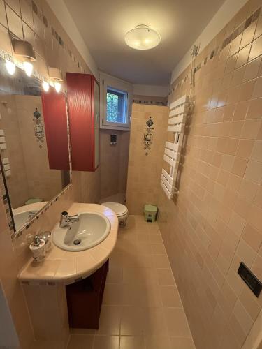 a bathroom with a sink and a toilet at Residence ai Melograni II in Silea