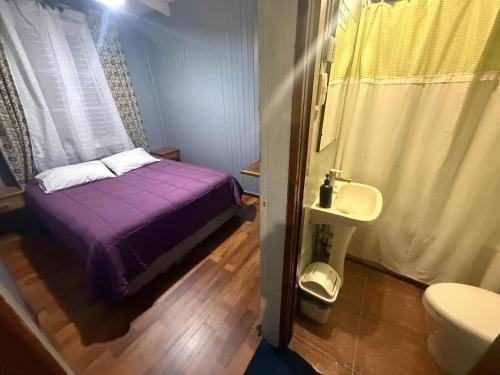 a small bedroom with a purple bed and a sink at Hostal Papo in Osorno