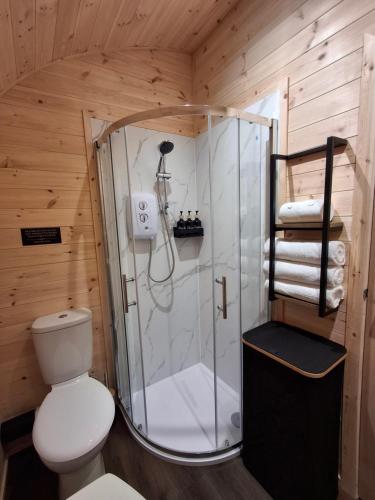 a bathroom with a shower and a toilet in a room at Blackstairs Glamping Pod 1 in Killann