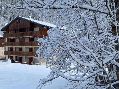 Appartement avec animaux admis - 4 pers.