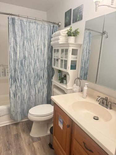 a bathroom with a toilet and a sink and a shower at Northern Knights in Fairbanks