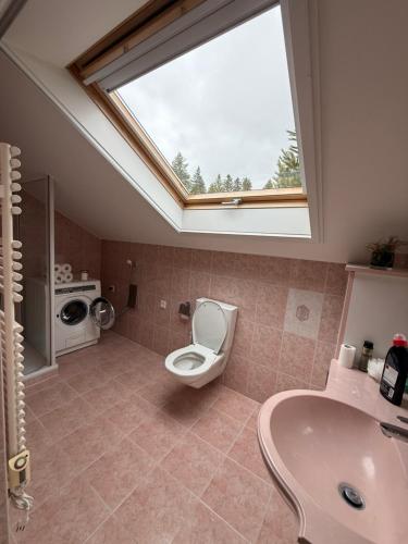 a bathroom with a toilet and a sink and a window at Elegant house in a dominant position in Tour de Treme