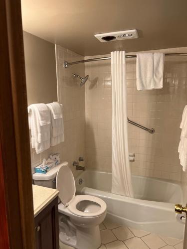 a bathroom with a toilet and a tub and a shower at Amber's Inn and Suites in Wisconsin Dells
