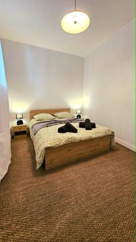 a bedroom with a large bed in a room at Appartement centre ville- cour- pkg proximité in Aurillac