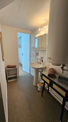 a bathroom with a sink and a mirror and a sink at Appartement centre ville- cour- pkg proximité in Aurillac