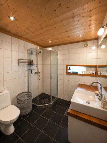 a bathroom with a shower and a toilet and a sink at Grand Mountain Lodge Filefjell in Tyinkrysset