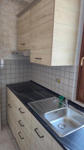 a kitchen with a sink and wooden cabinets at La Tana del Ghiro in Condove