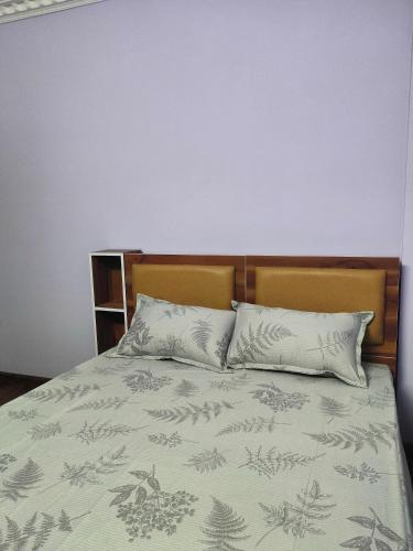 a bedroom with a bed with two pillows at Durbar Home in Tribhuwan Airport