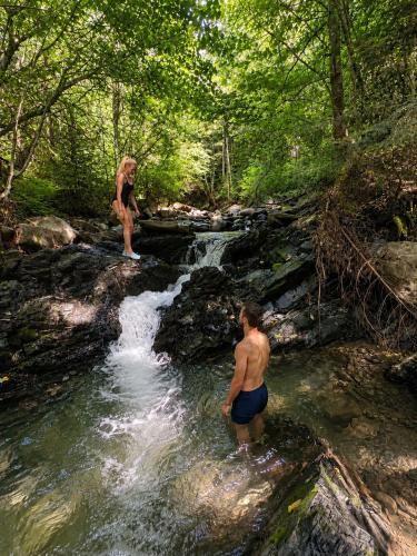 two men standing in a stream in the woods at Forest Hide Tiny House in Covasna