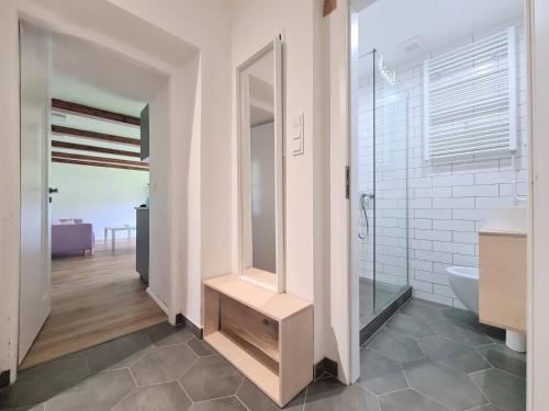 a bathroom with a toilet and a sink and a mirror at Apartmán na Špičáku in Špičák