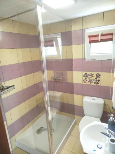 a bathroom with a shower and a toilet and a sink at Imprezowy domek in Żeleźnikowa Wielka