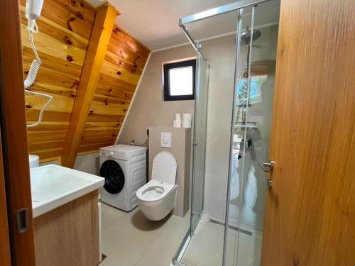 a bathroom with a shower and a toilet and a sink at Golden Horizon in Žabljak