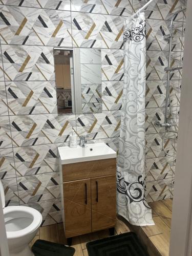 a bathroom with a sink and a toilet and a mirror at Білий птаха in Svityazʼ