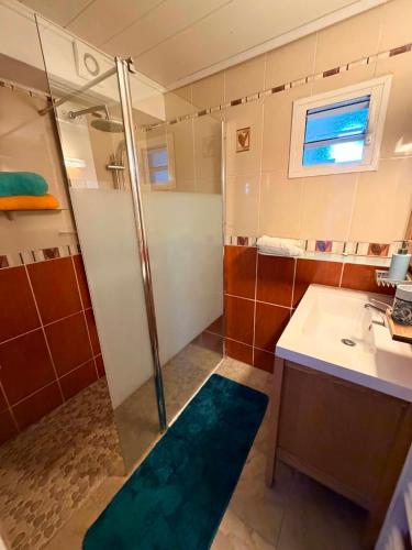 a bathroom with a shower and a sink at Le petit meublé des hauts in Grande Ravine