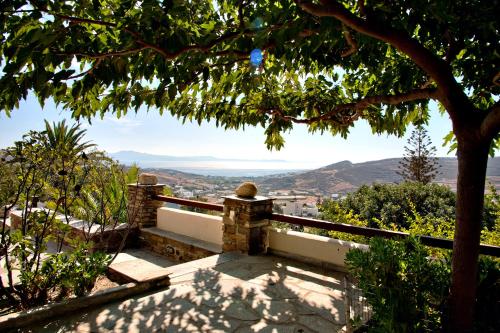 a bench sitting under a tree on a hill at Santamare Apartment in Agios Sostis