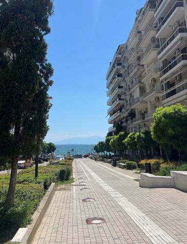 B&B Navarino