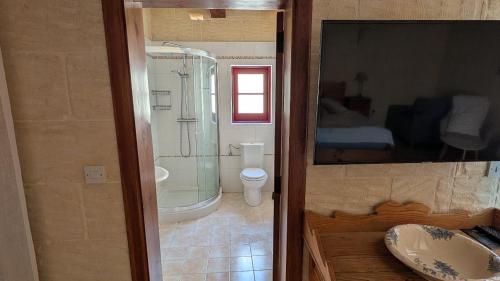 a bathroom with a shower and a toilet and a sink at Razzett Pepprina Poppy Farm in Xagħra