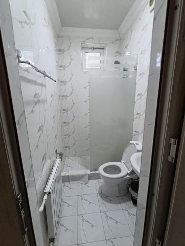 a white bathroom with a toilet and a shower at Green house eco hotel Samarkand in Samarkand