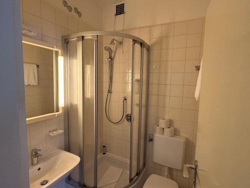 a bathroom with a shower and a toilet and a sink at Das Alpina in Bad Reichenhall