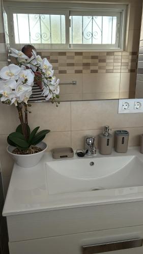 a bathroom counter with a vase of flowers on it at Espejo del mar in Mojácar