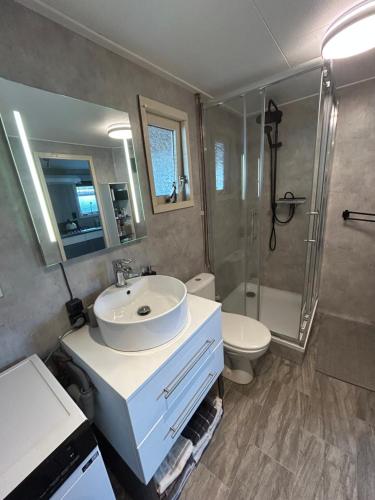 a bathroom with a sink and a shower and a toilet at Casa bosrust anloo in Anloo