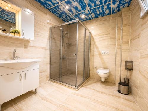 a bathroom with a shower and a toilet at Mavi OTEL BOUTİQUE RESTAURANT in Mahmutlu