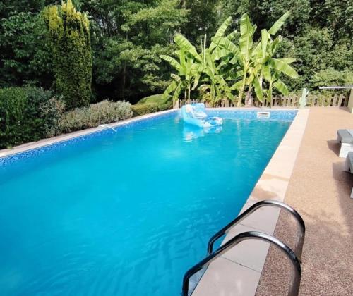 a blue swimming pool with a bench next to it at Moulin De Ladausse in Monflanquin
