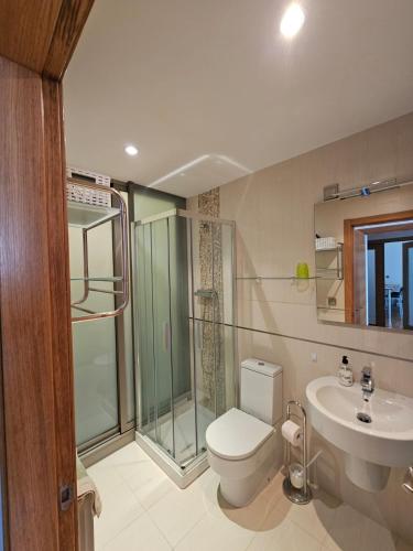 a bathroom with a shower and a toilet and a sink at Os limoeiros do cura in Foz