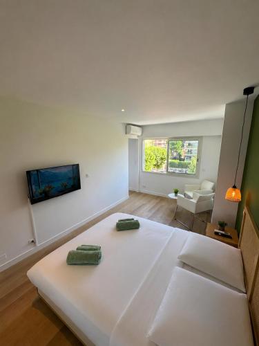 Cannes Palm Beach Proche Plage
