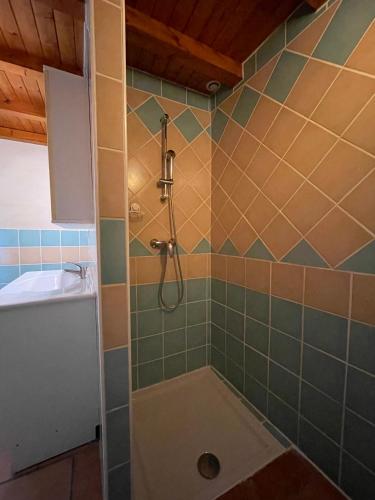 a shower in a bathroom with green tiles at La Ferme Terre Bio Provence in Lapalud