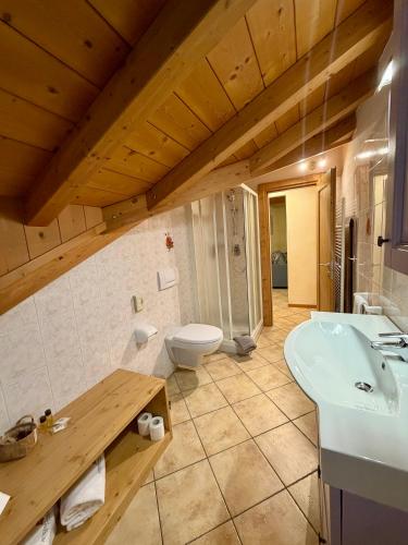 a bathroom with a sink and a toilet at Rosengarden Alpine Residence in Valdidentro
