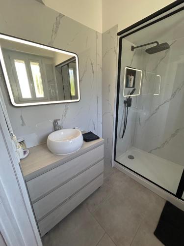 a bathroom with a sink and a mirror and a shower at La maison des Ducs, terrasse, BBQ, Proche centre in Nevers
