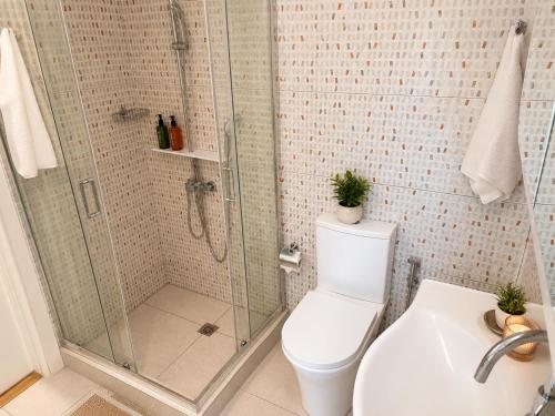 a bathroom with a shower and a toilet and a sink at Aeolian Garden in Mytilene