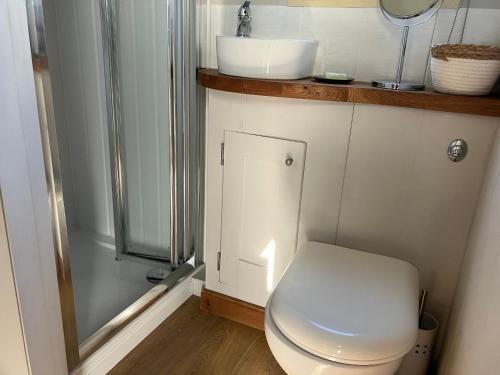 a bathroom with a toilet and a sink at Arcadia Shepherds Hut in Ashwater