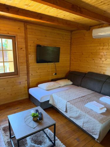 a room with a bed and a couch and a tv at Laki House Skadar lake in Železnička Stanica Zeta