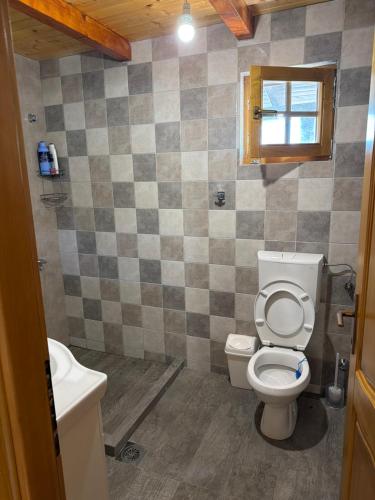 a bathroom with a toilet and a sink at Laki House Skadar lake in Železnička Stanica Zeta