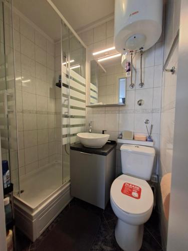 a bathroom with a toilet and a sink and a shower at Apartment Agora in Zadar