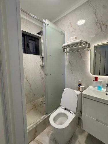 a white bathroom with a toilet and a shower at Cottage in Bosteri